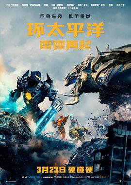 雾港档案 悬疑高清电影